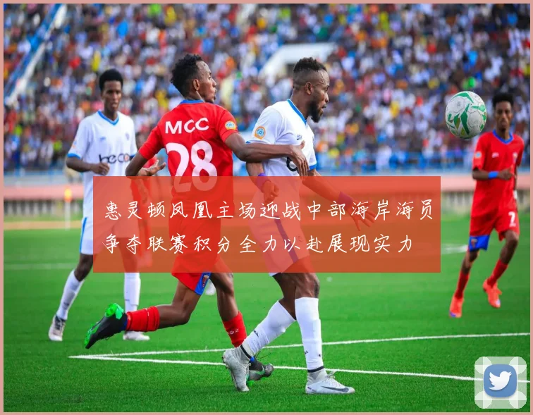 惠灵顿凤凰主场迎战中部海岸海员争夺联赛积分全力以赴展现实力